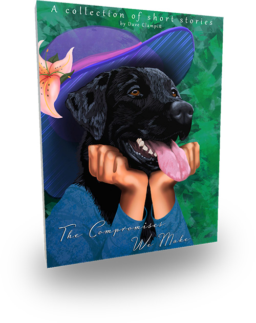 Book cover. Title: Compromises We Make